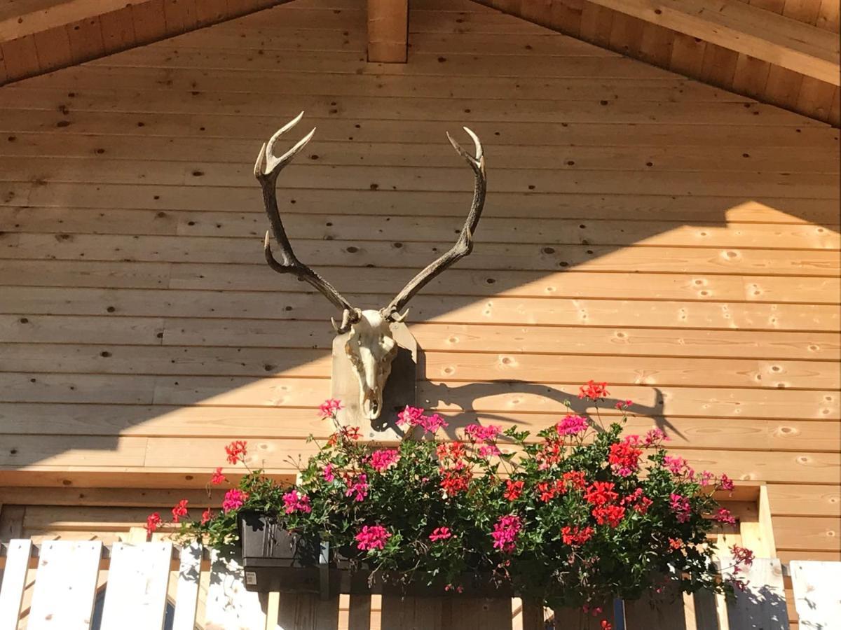 Alpenlodge Kirchbach Kirchbach  Extérieur photo